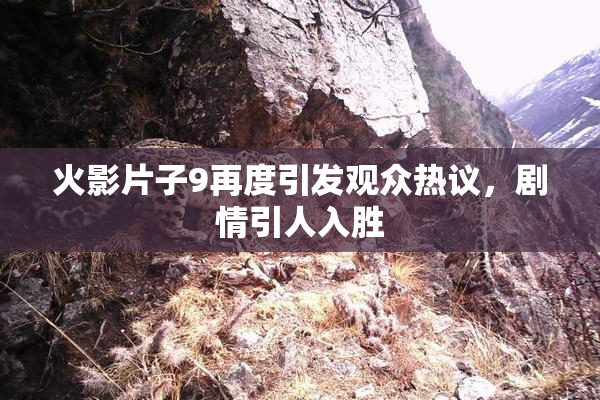 火影片子9再度引发观众热议，剧情引人入胜