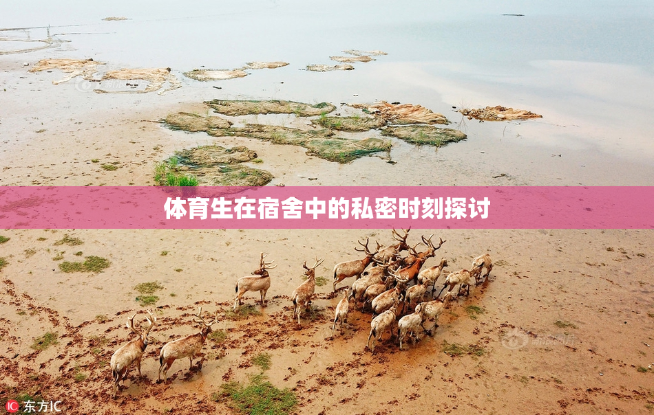 体育生在宿舍中的私密时刻探讨