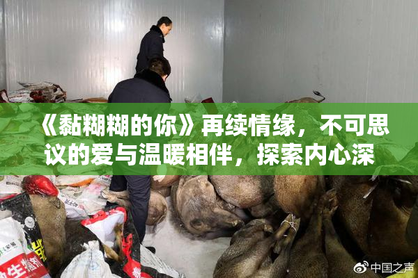 《黏糊糊的你》再续情缘，不可思议的爱与温暖相伴，探索内心深处。