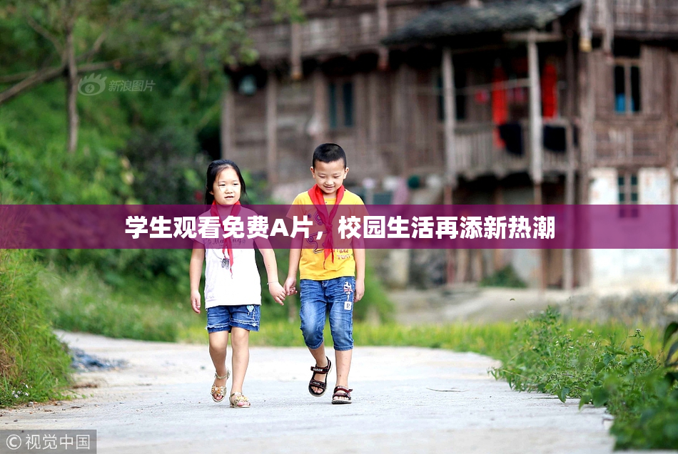 学生观看免费A片，校园生活再添新热潮