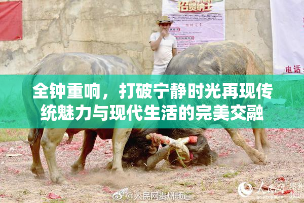全钟重响，打破宁静时光再现传统魅力与现代生活的完美交融