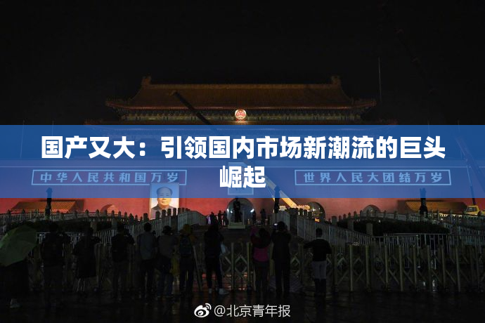 国产又大：引领国内市场新潮流的巨头崛起