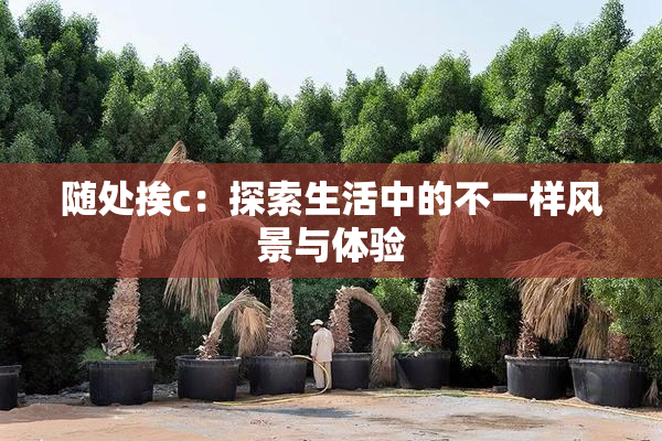 随处挨c：探索生活中的不一样风景与体验