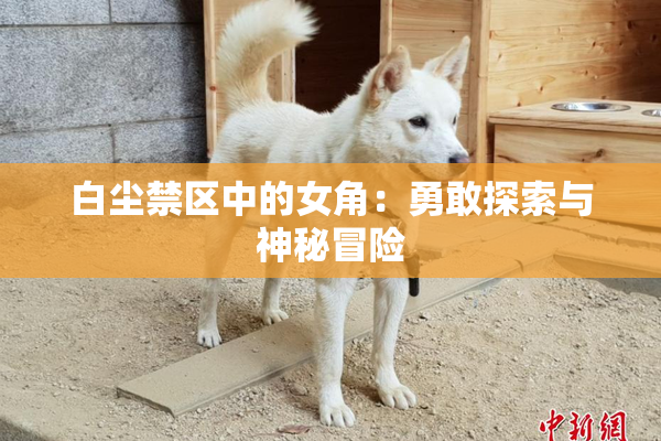 白尘禁区中的女角：勇敢探索与神秘冒险