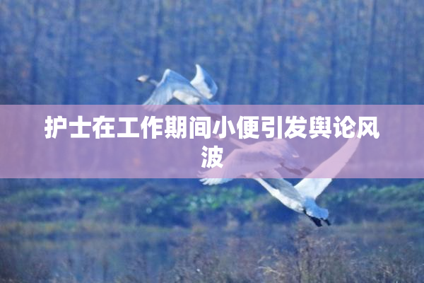 护士在工作期间小便引发舆论风波
