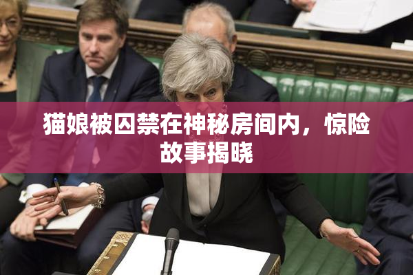 猫娘被囚禁在神秘房间内，惊险故事揭晓