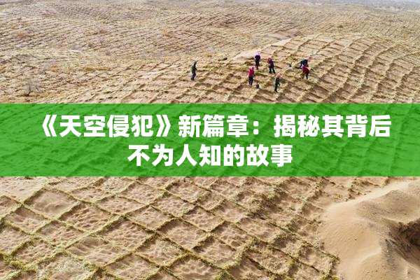 《天空侵犯》新篇章：揭秘其背后不为人知的故事