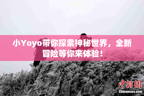 小Yoyo带你探索神秘世界，全新冒险等你来体验！