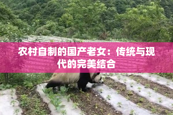 农村自制的国产老女：传统与现代的完美结合