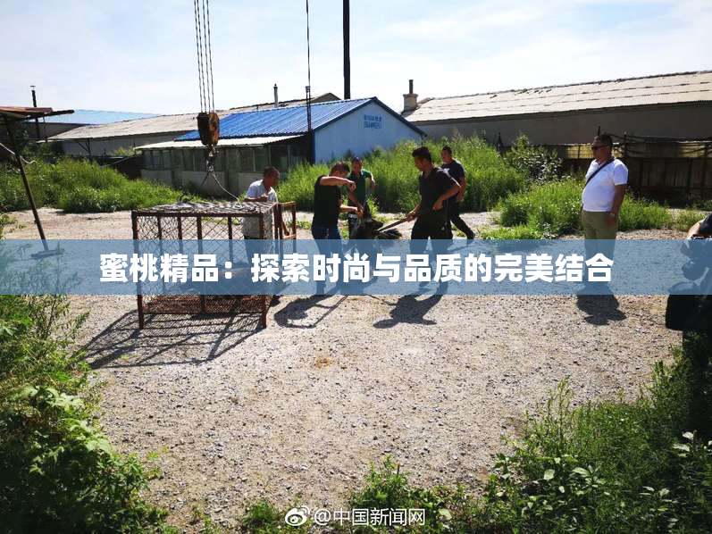 蜜桃精品：探索时尚与品质的完美结合