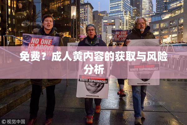 免费？成人黄内容的获取与风险分析