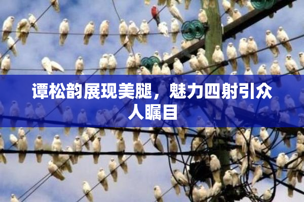 谭松韵展现美腿，魅力四射引众人瞩目