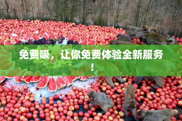 免费吸，让你免费体验全新服务！