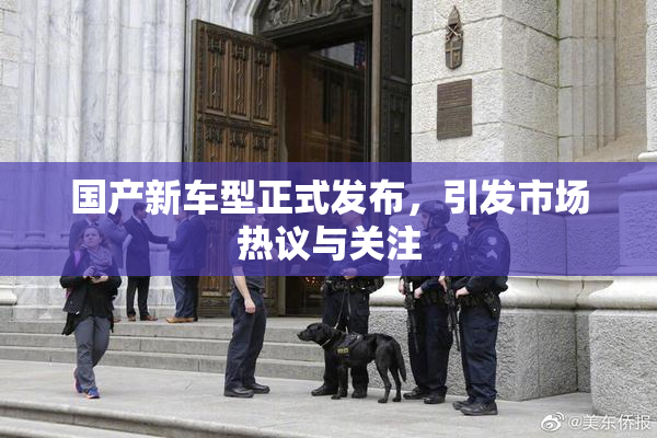 国产新车型正式发布，引发市场热议与关注