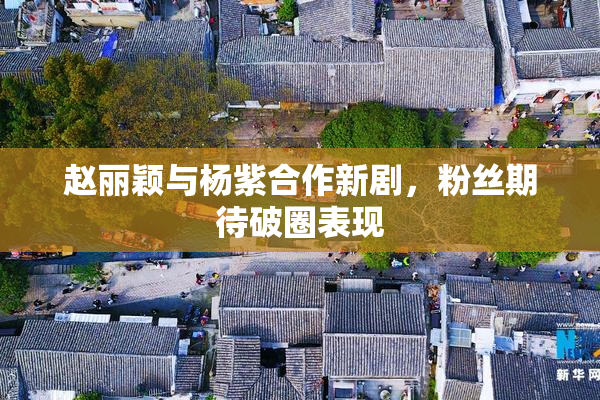赵丽颖与杨紫合作新剧，粉丝期待破圈表现