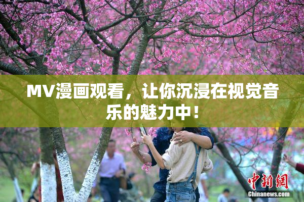 MV漫画观看，让你沉浸在视觉音乐的魅力中！