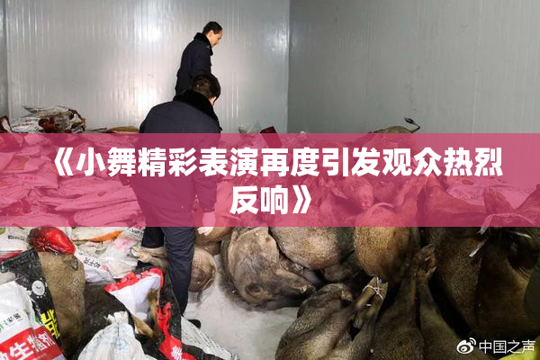 《小舞精彩表演再度引发观众热烈反响》
