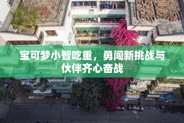 宝可梦小智吃重，勇闯新挑战与伙伴齐心奋战