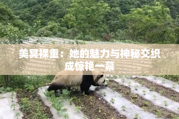 美冥裸重：她的魅力与神秘交织成惊艳一幕