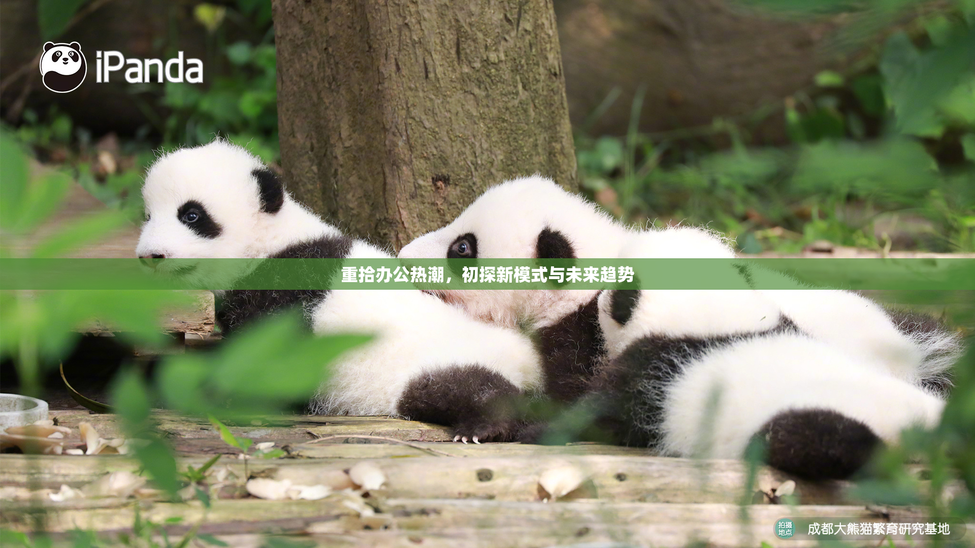 重拾办公热潮，初探新模式与未来趋势