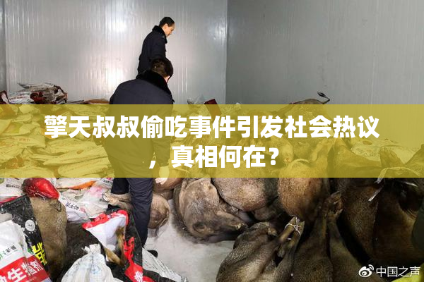 擎天叔叔偷吃事件引发社会热议，真相何在？