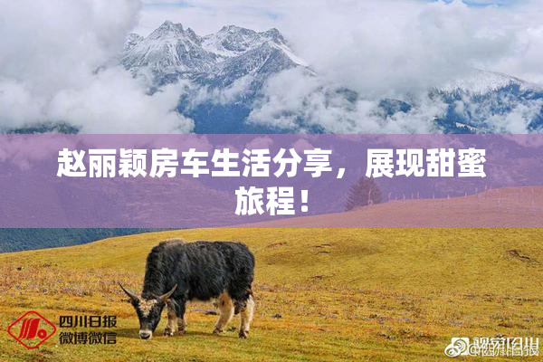 赵丽颖房车生活分享，展现甜蜜旅程！