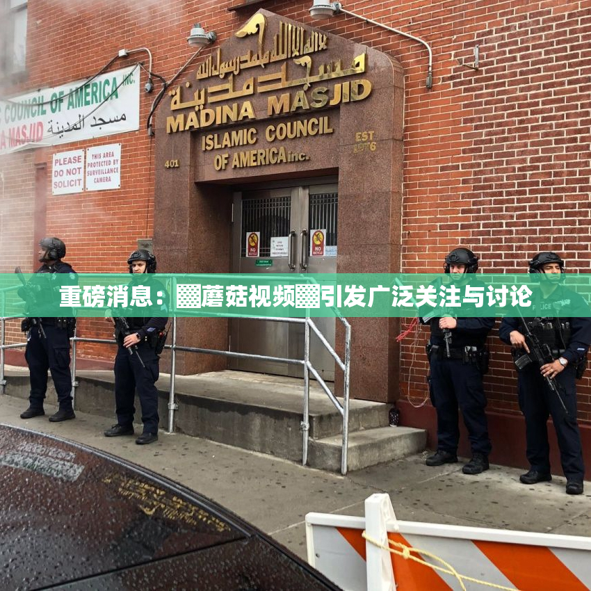 重磅消息：▓蘑菇视频▓引发广泛关注与讨论