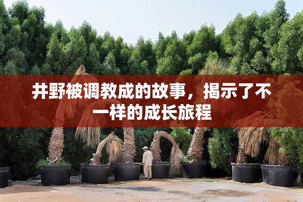 井野被调教成的故事，揭示了不一样的成长旅程