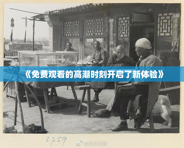 《免费观看的高潮时刻开启了新体验》