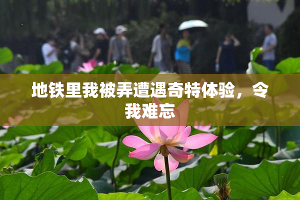 地铁里我被弄遭遇奇特体验，令我难忘