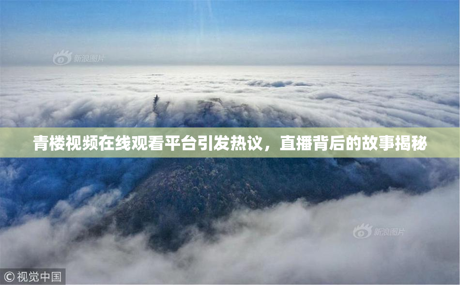 青楼视频在线观看平台引发热议，直播背后的故事揭秘