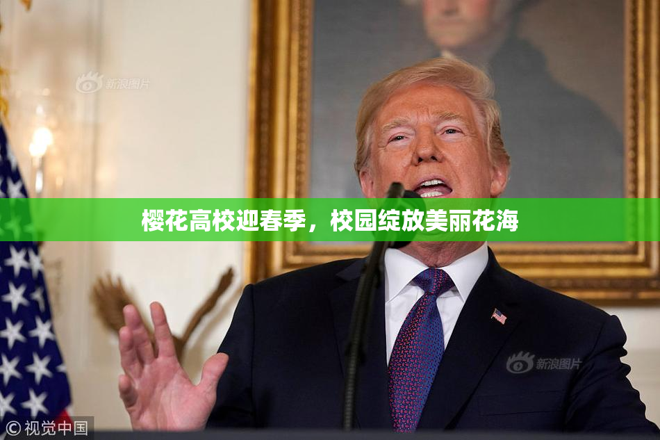 樱花高校迎春季，校园绽放美丽花海