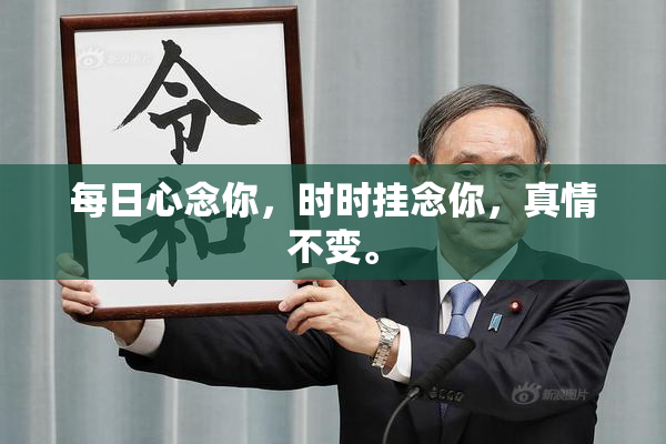 每日心念你，时时挂念你，真情不变。
