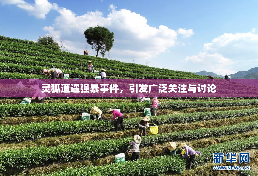 灵狐遭遇强暴事件，引发广泛关注与讨论