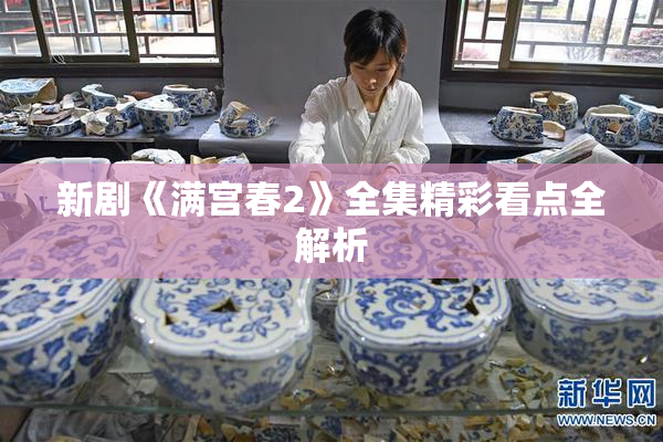 新剧《满宫春2》全集精彩看点全解析