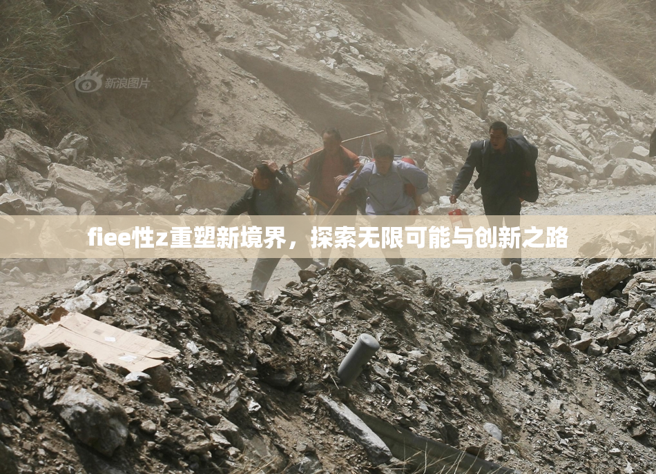 fiee性z重塑新境界，探索无限可能与创新之路