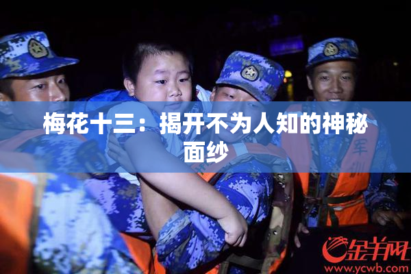梅花十三：揭开不为人知的神秘面纱