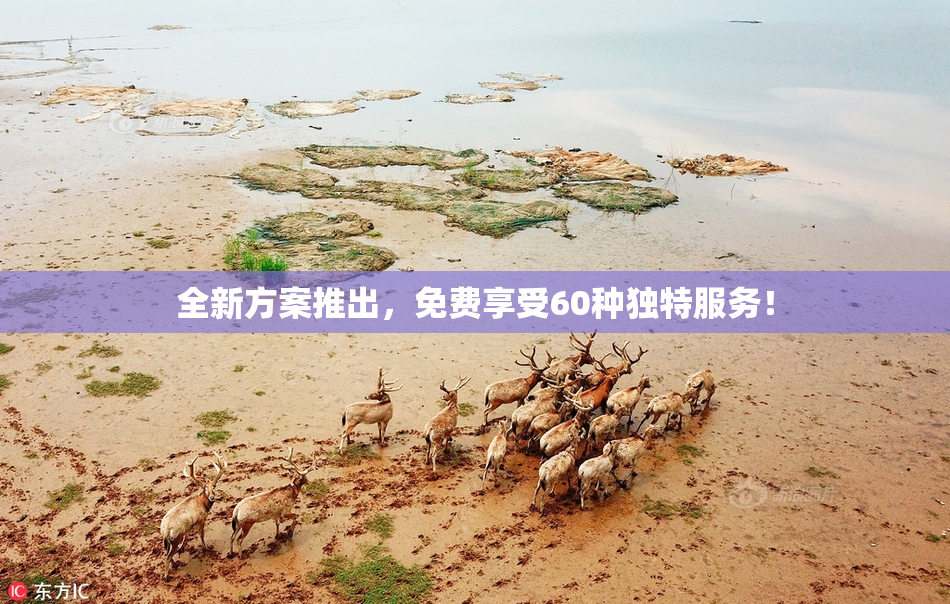 全新方案推出，免费享受60种独特服务！