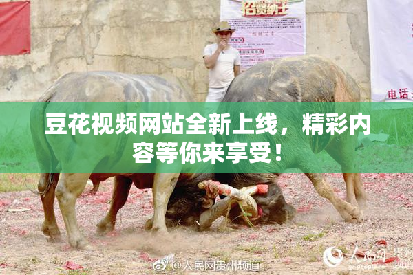 豆花视频网站全新上线，精彩内容等你来享受！