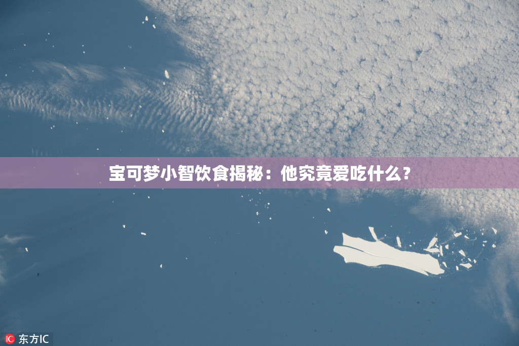 宝可梦小智饮食揭秘：他究竟爱吃什么？