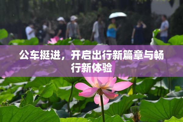 公车挺进，开启出行新篇章与畅行新体验