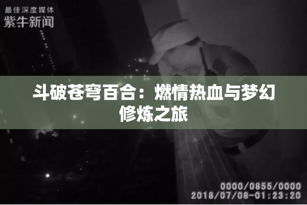 斗破苍穹百合：燃情热血与梦幻修炼之旅
