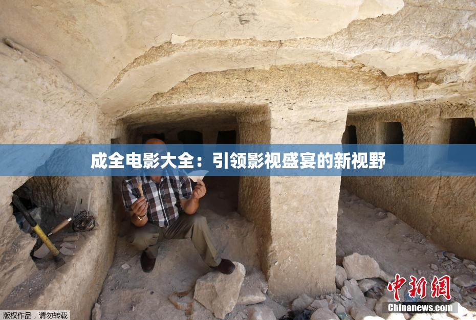 成全电影大全：引领影视盛宴的新视野