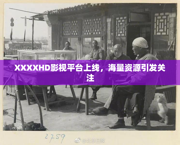 XXXXHD影视平台上线，海量资源引发关注