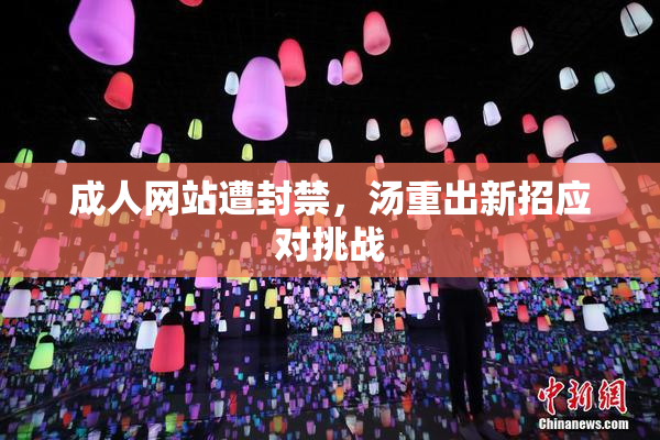 成人网站遭封禁，汤重出新招应对挑战