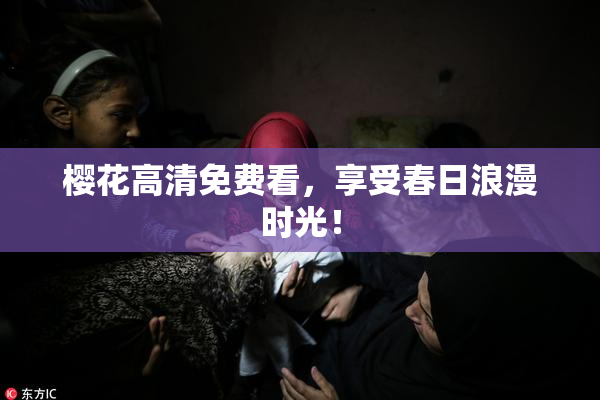 樱花高清免费看，享受春日浪漫时光！