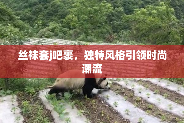 丝袜套j吧裹，独特风格引领时尚潮流