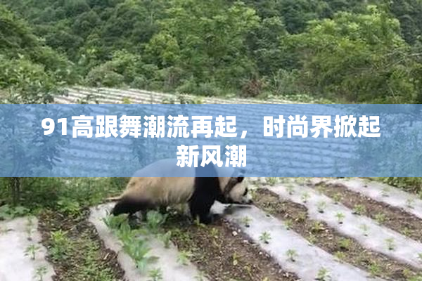 91高跟舞潮流再起，时尚界掀起新风潮