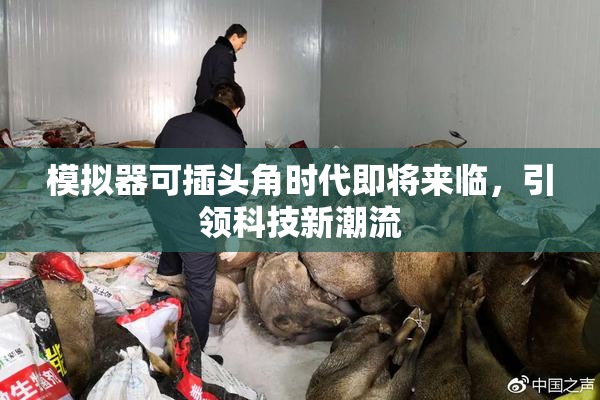 模拟器可插头角时代即将来临，引领科技新潮流