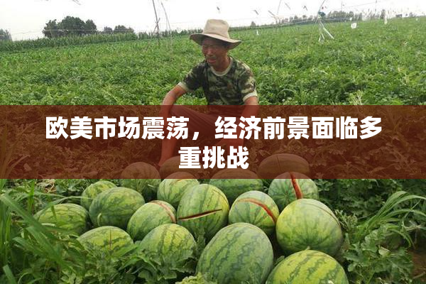 欧美市场震荡，经济前景面临多重挑战